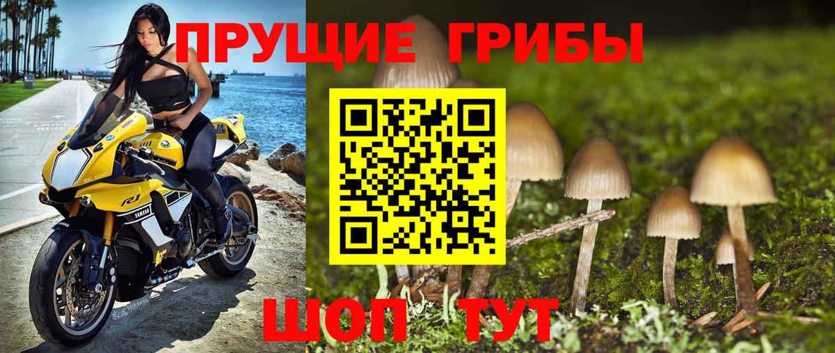 Лосино-Петровский  Псилоцибиновые грибы мухоморы  купить закладку  Вход с VPN 